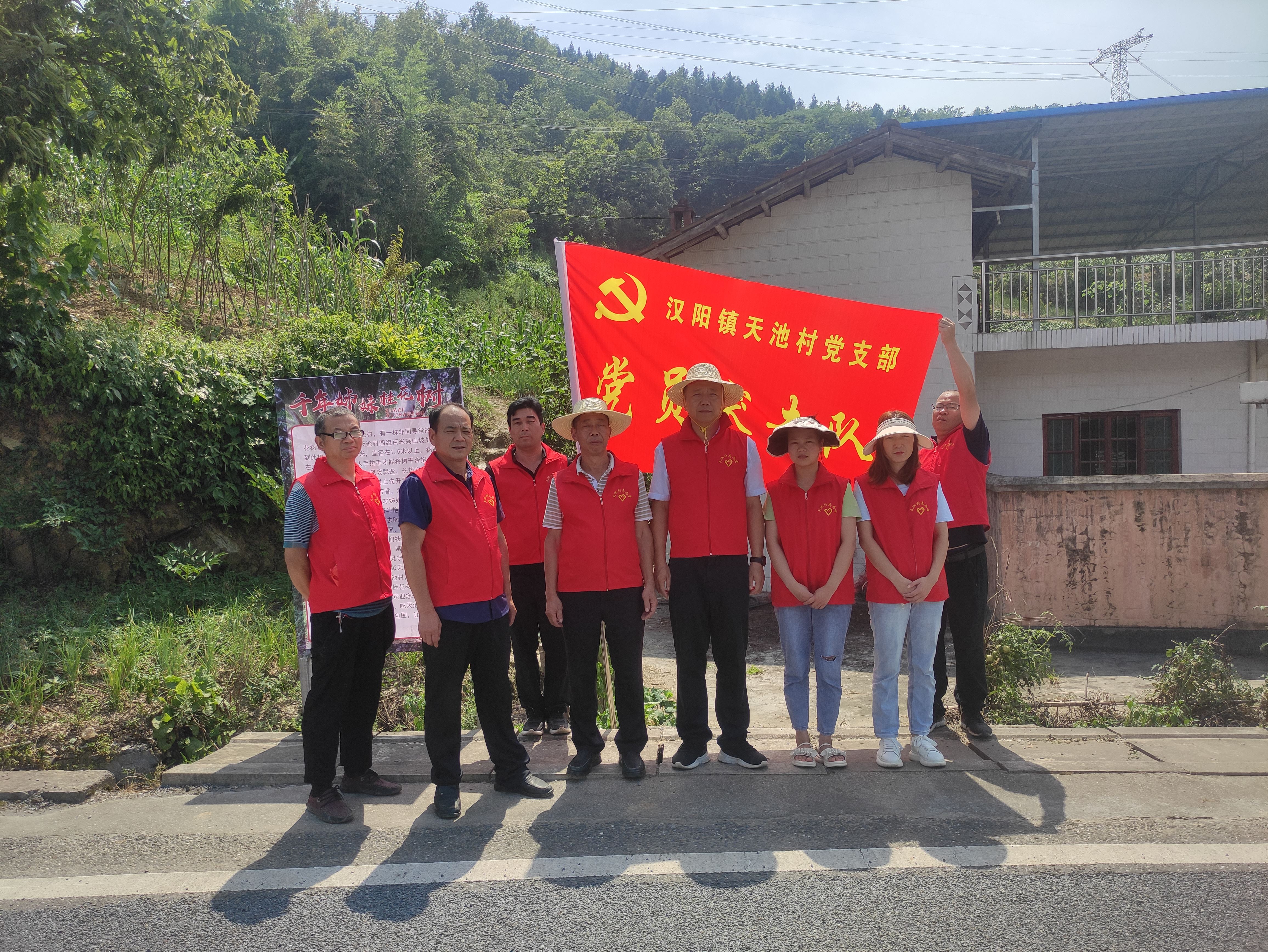 陕煤建设驻村干部联合天池村党员开展义务保护千年古树活动